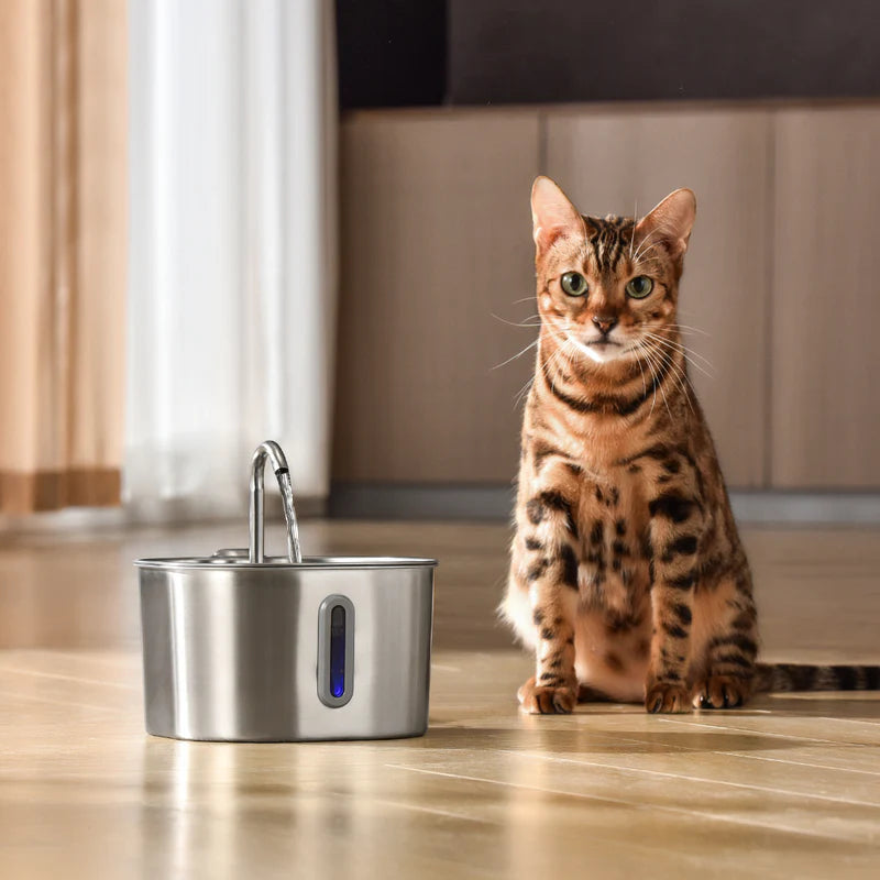 The FlowPaw™ - 2.2L Fountain VIP