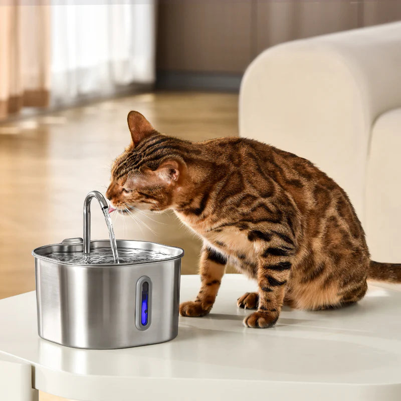 The FlowPaw™ - 2.2L Fountain VIP