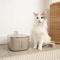 The FlowPaw™ - Wireless Fountain