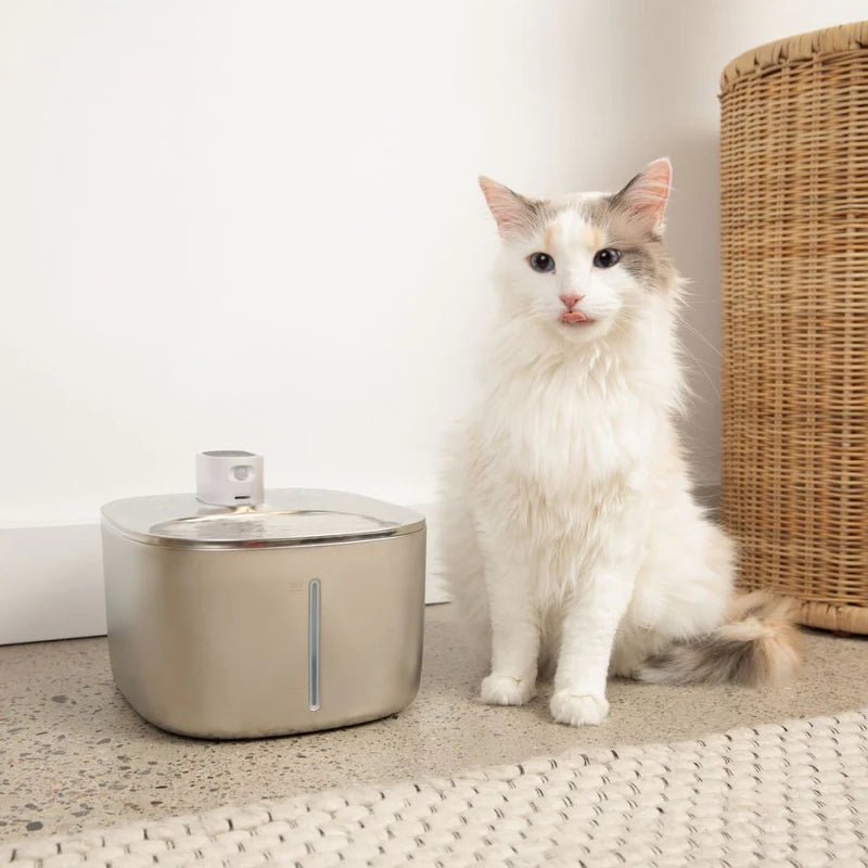 The FlowPaw™ - Wireless Fountain