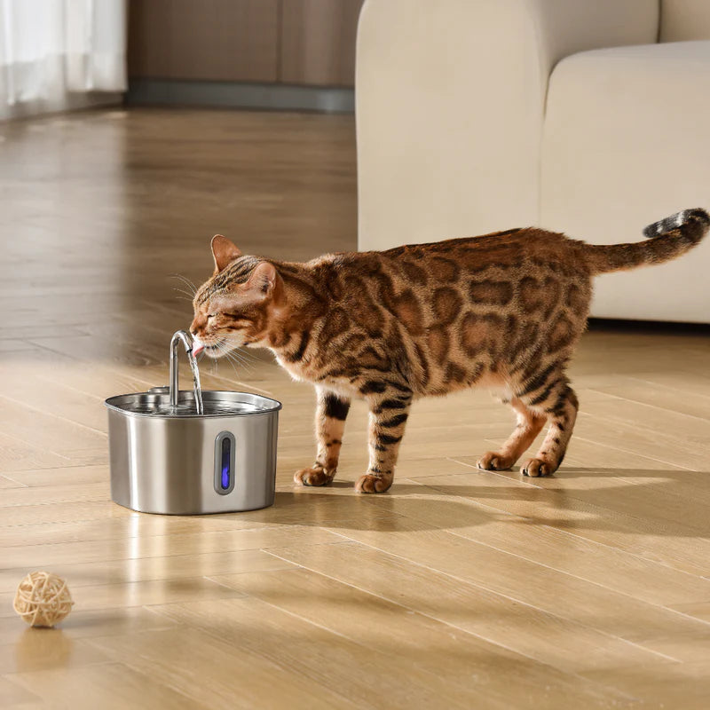 The FlowPaw™ - 2.2L Fountain VIP