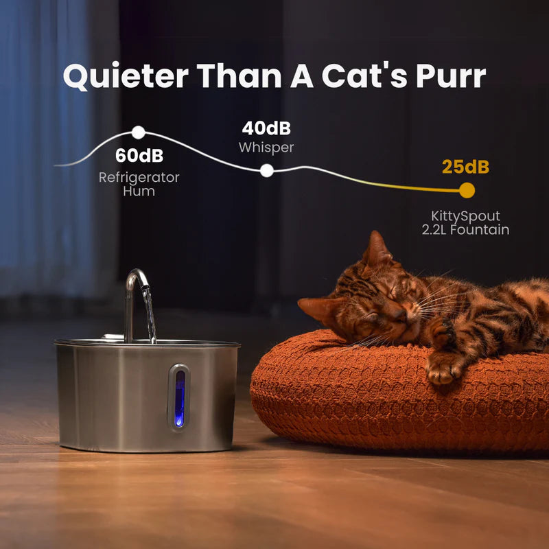 The FlowPaw™ - 2.2L Fountain VIP