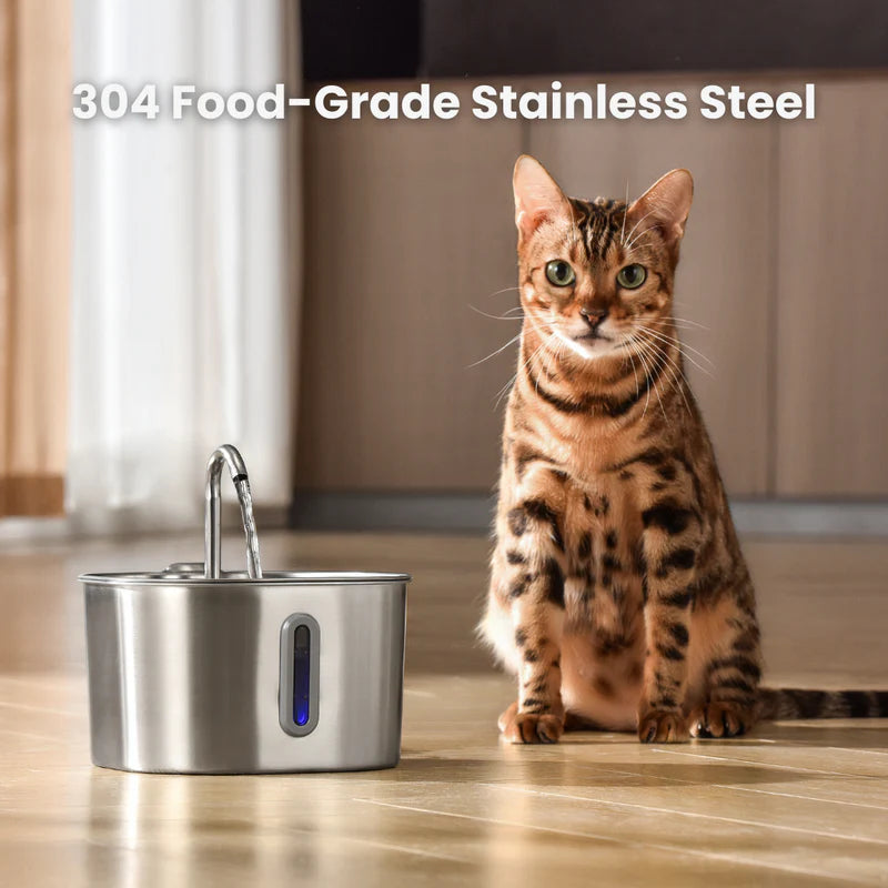 The FlowPaw™ - 2.2L Fountain VIP